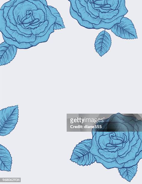 botanical roses invitation template - menique lagoon stock illustrations