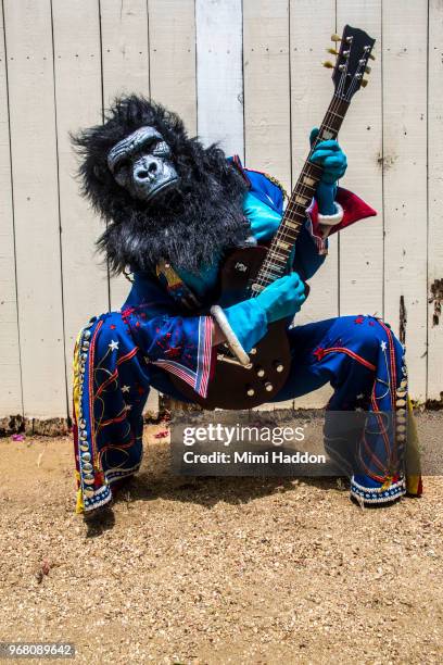 person in gorilla mask and american costume playing electric guitar - rockstar stock-fotos und bilder