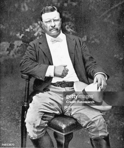 Portrait of President Theodore Roosevelt seated in garden, circa 1910s. .