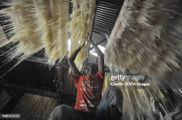 Hanging Rice Photos and Premium High Res Pictures - Getty Images