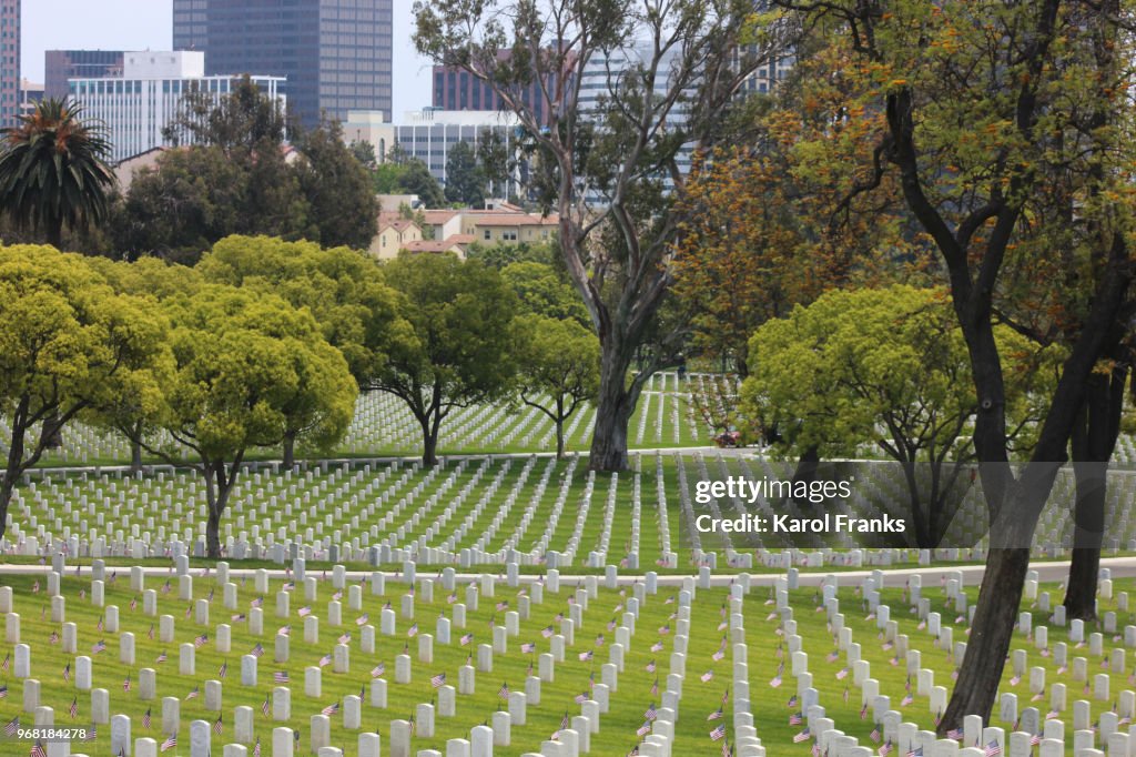 Memorial Day Cemetery