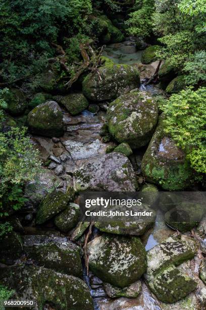 Yakusugiland - although it may sound like a tacky theme park devoted to trees, Yakusugi Land is really more of a nature hiking park. There are short...