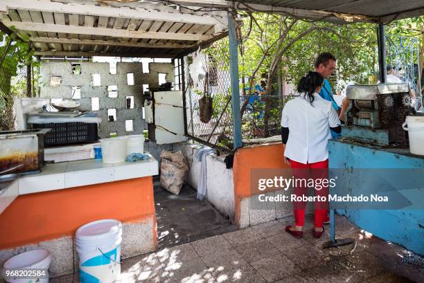 Inside of a sugar cane juice cafeteria. After economic changes, Cuban people are opening diverse kinds of small businesses and many of them are...