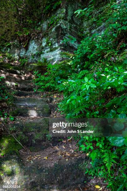 Nagoe Kiridoshi Pass was constructed on an important road from Kamakura toward the Miura Peninsula via Zushi in the southeast. The present kiridoshi...