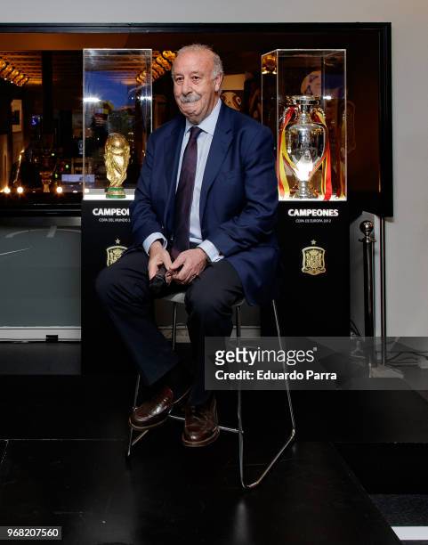 Former Spanish national soccer coach Vicente del Bosque attends the 'Espacio Seleccion' exhibition at Telefonica flagship store on June 6, 2018 in...