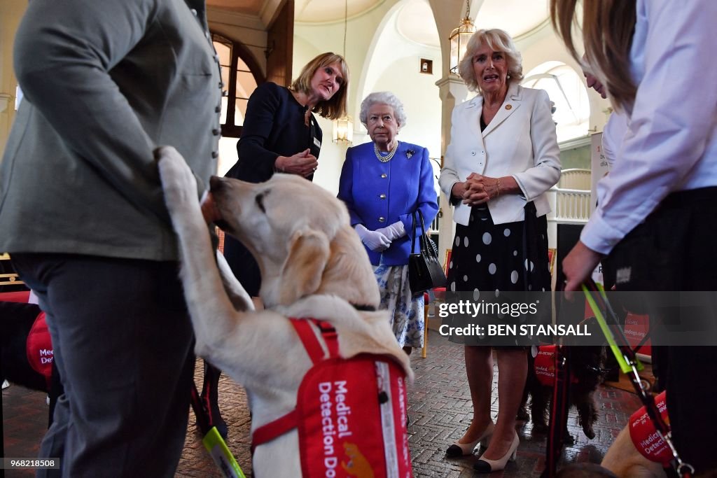 BRITAIN-ROYALS-HEALTH-DOGS