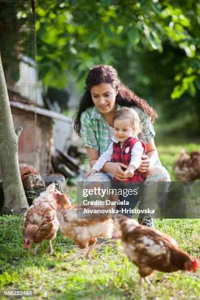mor och dotter att ha kul på hönsfarm - baby chicken bildbanksfoton och bilder