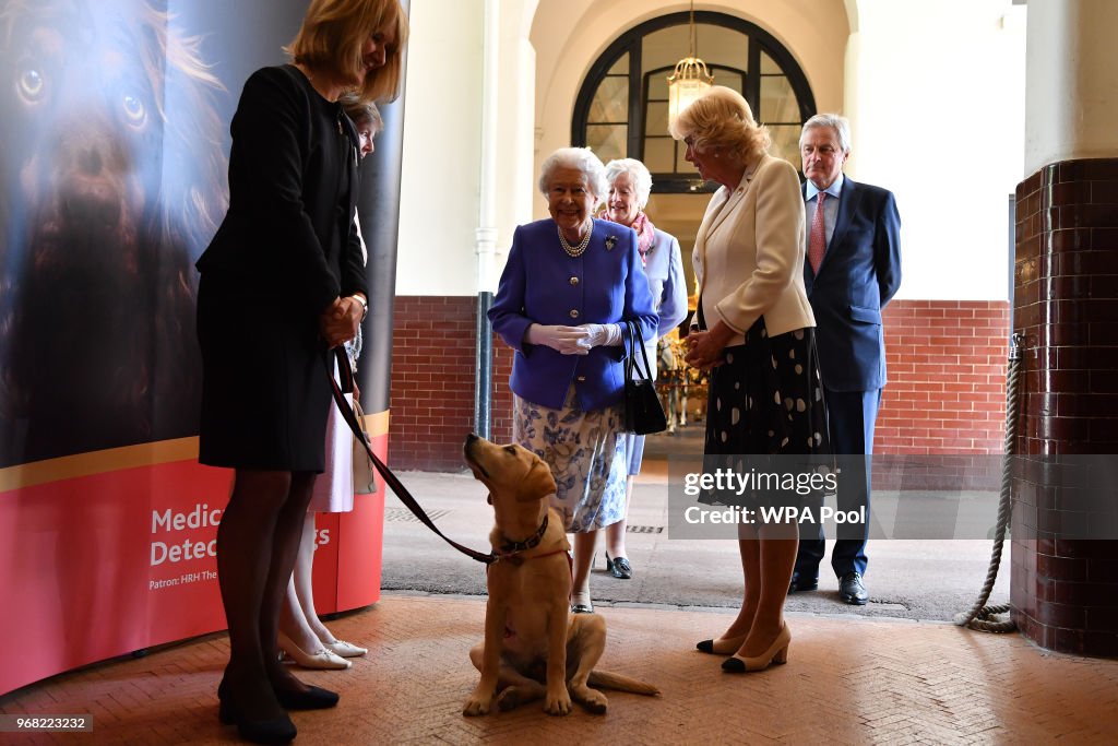 Queen Elizabeth II Attends The 10th Anniversary Celebrations Of The Medical Detection Dogs Charity