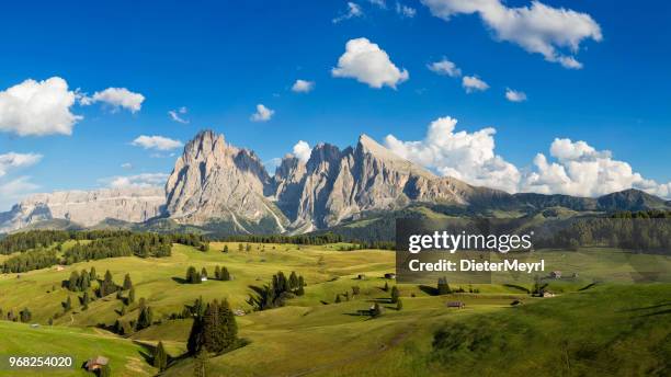 alpe di siusi, südtirol, italien - seiser alm stock-fotos und bilder