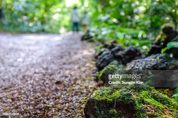 close-up view of the trail side - sungjin kim stock pictures, royalty-free photos & images