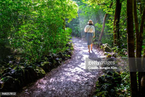 ray of sunlight over the woman on the trail - sungjin kim stock pictures, royalty-free photos & images