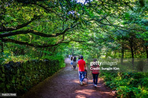 people walking the footpath at bijarim forest - sungjin kim stockfoto's en -beelden