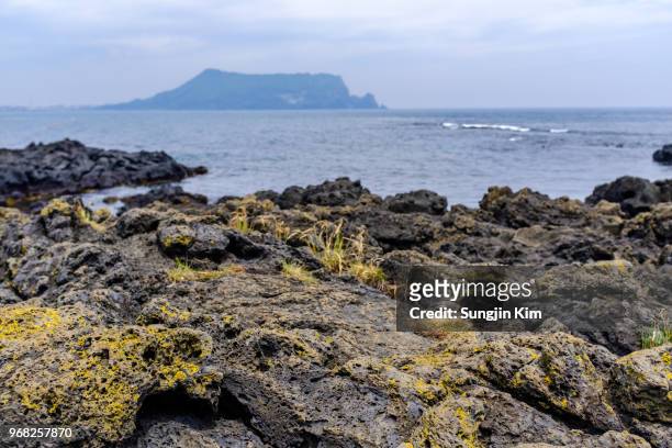 volcanic rock at the beach of jeju island - sungjin kim stock pictures, royalty-free photos & images