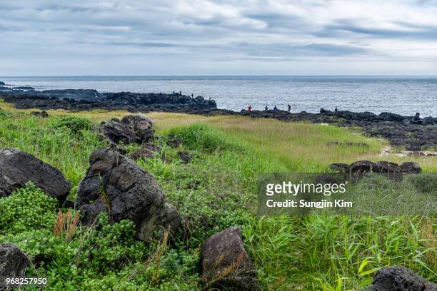 people fishing at the volcanic rock beach at jeju island - sungjin kim stock pictures, royalty-free photos & images