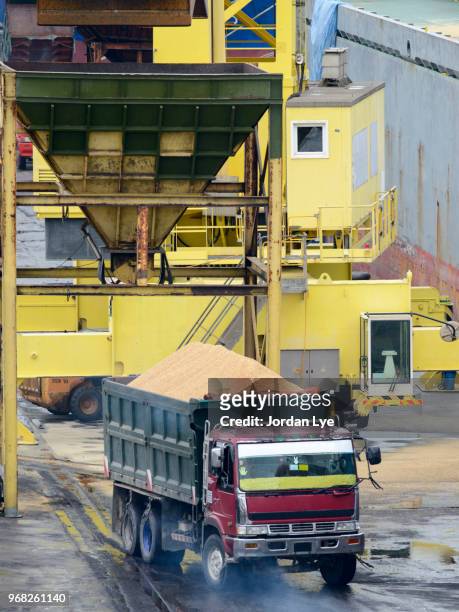 brown sugar bulk load into a truck - jordan lye stock pictures, royalty-free photos & images