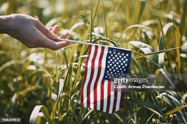 hand of human with american flag in grassland - arman zhenikeyev stock-fotos und bilder