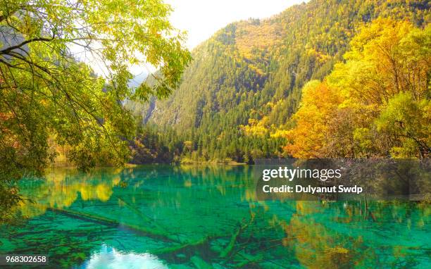 jiuzhaigou national park, china - calcification stock pictures, royalty-free photos & images