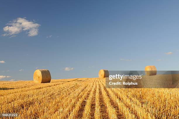 rolling bales of straw aichtal germany - sonnig stock pictures, royalty-free photos & images