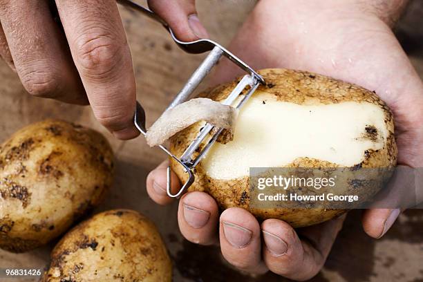 man peeling potato - geschält stock-fotos und bilder