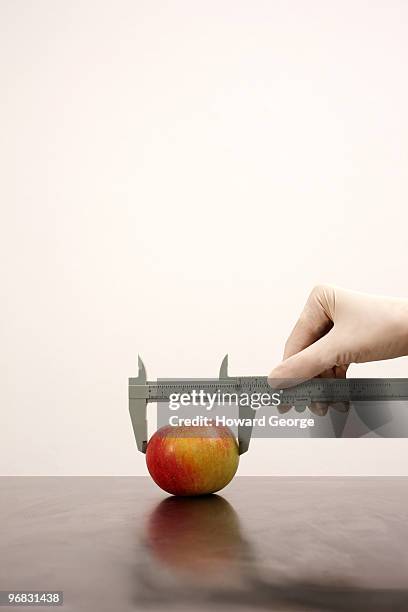 woman measuring width of apple - calibrador fotografías e imágenes de stock