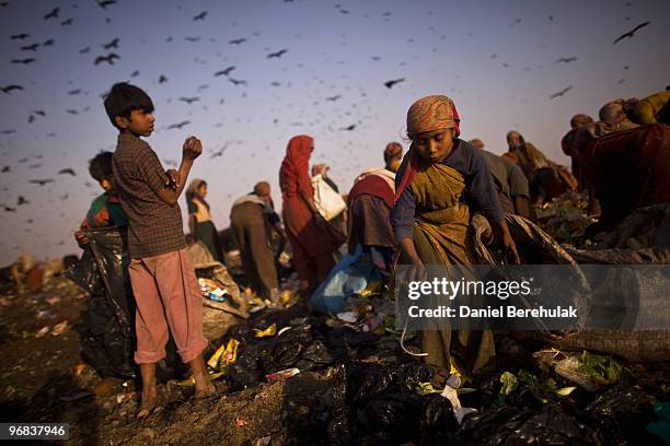 Indian Rag Pickers Indian Rag Pickers Forage For Recyclables At Delhi Landfill Site Photos ...