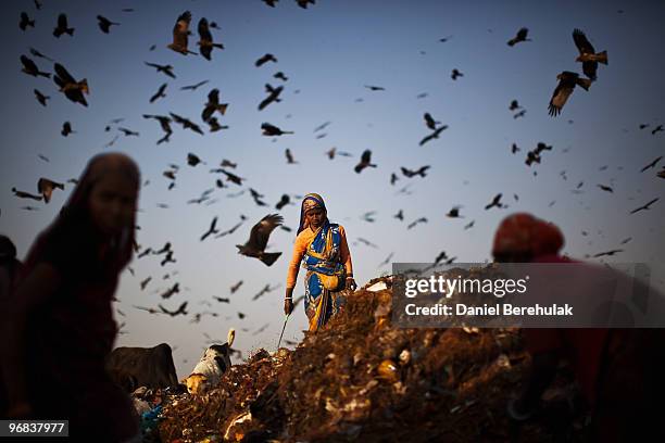 Indian Rag Pickers 697 Rag Pickers Stock Photos, High-Res Pictures, and Images - Getty Images