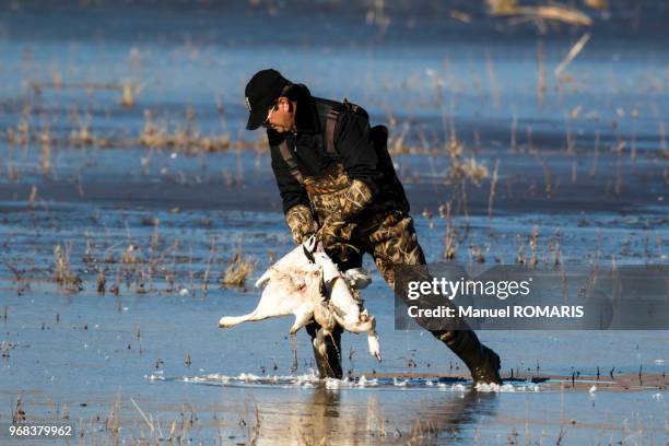 Forest Ranger Snow 358 Snow Ranger Stock Photos, High-Res Pictures, and Images - Getty Images