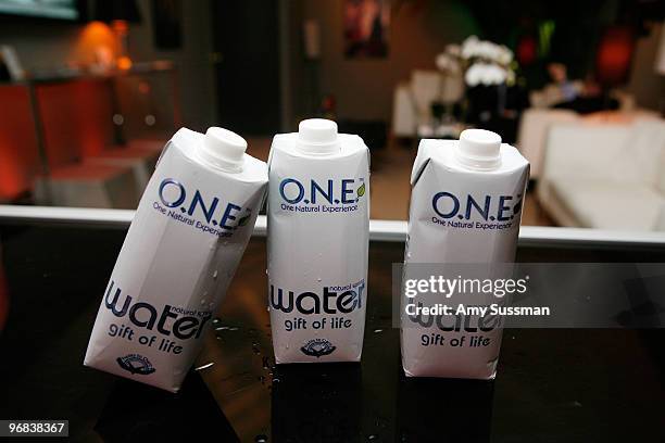 General view of atmosphere during Mercedes-Benz Fashion Week presented by Tetra Pak & O.N.E. At The Salon at Bryant Park on February 18, 2010 in New...