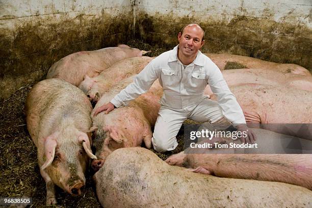 Danish farmer Michael Neilsen photographed at his Tilsbaek pig farm where he keeps 640 sows, producing 18,000 piglets per year mainly for the...