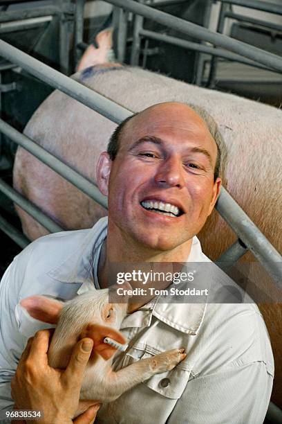 Danish farmer Michael Neilsen photographed at his Tilsbaek pig farm where he keeps 640 sows, producing 18,000 piglets per year mainly for the...