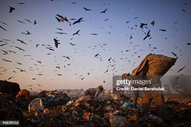 Indian Rag Pickers Indian Rag Pickers Forage For Recyclables At Delhi Landfill Site Photos ...