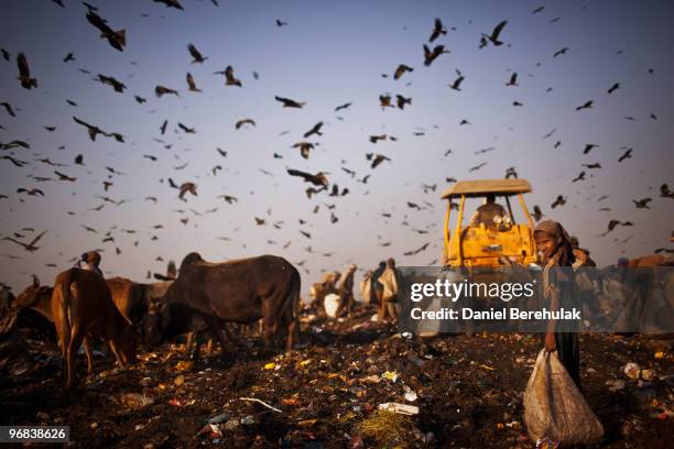 Indian Rag Pickers 715 Rag Pickers Stock Photos, High-Res Pictures, and Images - Getty Images