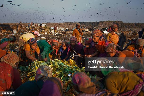 Indian Rag Pickers 705 Rag Pickers Stock Photos, High-Res Pictures, and Images - Getty Images