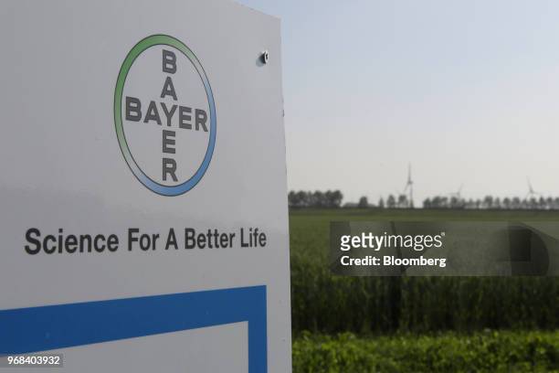The Bayer AG logo sits on a sign beside a field of crops at a farm in Abbenes, Netherlands, on Wednesday, June 6, 2018. After waiting more than 18...