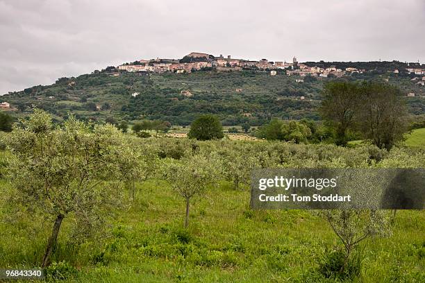 Tenuta Il Cicalino Farm at Massa Marittima is a breathtaking place for people wishing to relax and experience the beauty of Tuscany. The farm...