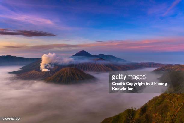 the tranquil scene of mt.bromo and mt.batok with the sea of fog in the morning, east java, indonesia. - copyright by siripong kaewla iad stock pictures, royalty-free photos & images