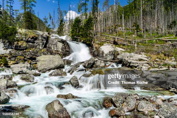 a waterfall in tatra national park - tatras slovakia stock pictures, royalty-free photos & images