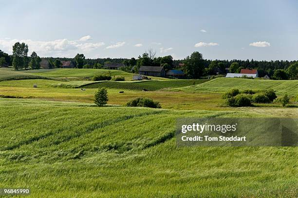 Typically colourful rural landscape photographed in the north east region of Poland.