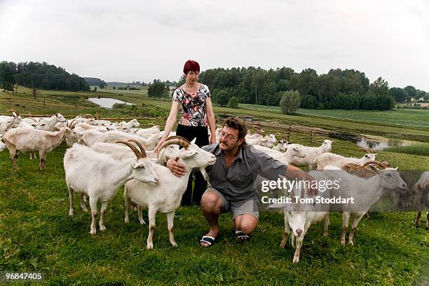 Aivars Tabulevics and his wife Gunta keep 200 goats on their farm at Malpils in the Riga region of Latvia. Aivars was formerly a hospital anesthetist...