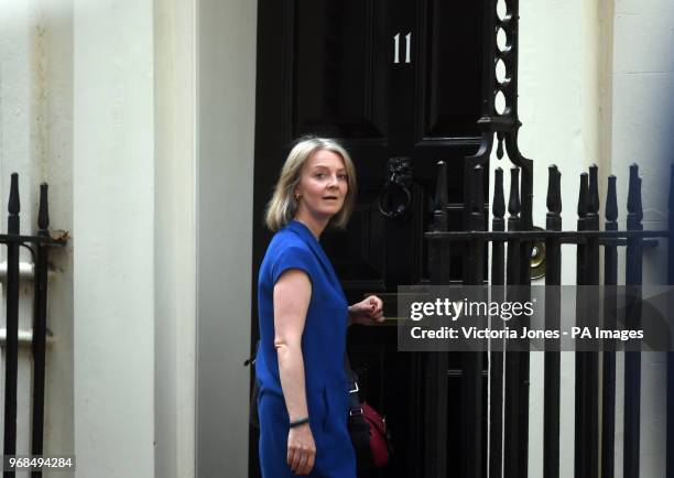 Chief Secretary to the Treasury Elizabeth Truss walking into 11 Downing Street, London.