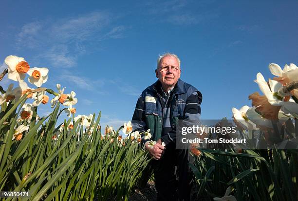 Dutch flower bulbs are exported all over the world and are the most important agricultural industry in the Netherlands. The areas of Lisse, Hillegom,...