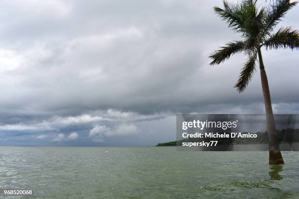 storm on the shores of lake victoria - lake victoria stock pictures, royalty-free photos & images
