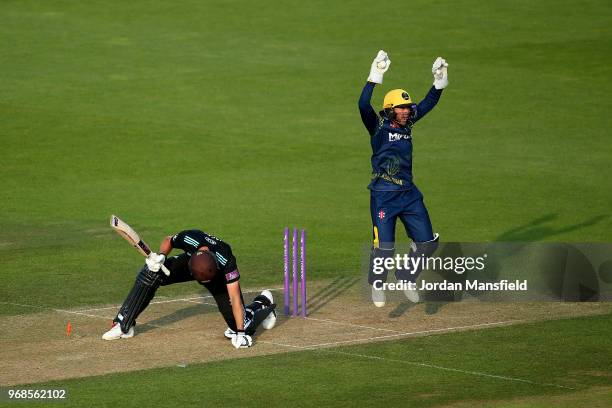 Chris Cooke of Glamorgan appeals unsuccessfully for the stumping of Will Jacks of Surrey during the Royal London One-Day Cup game between Surrey and...