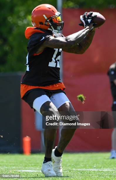 Wide receiver Josh Gordon of the Cleveland Browns catches a pass during an OTA practice at the Cleveland Browns training facility in Berea, Ohio.