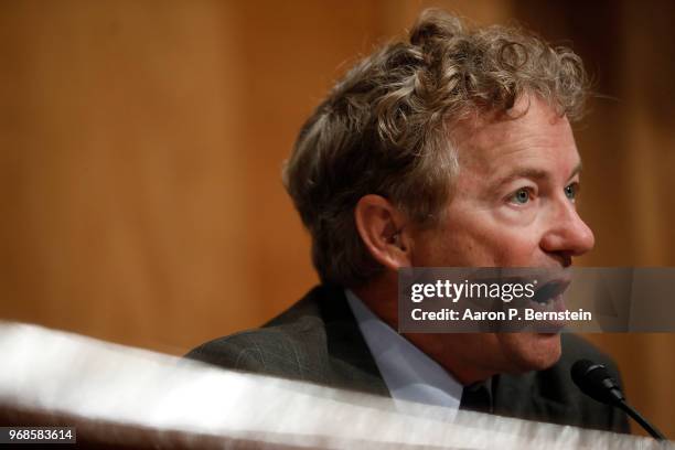 Sen. Rand Paul speaks during a Federal Spending Oversight And Emergency Management Subcommittee hearing June 6, 2018 on Capitol Hill in Washington,...