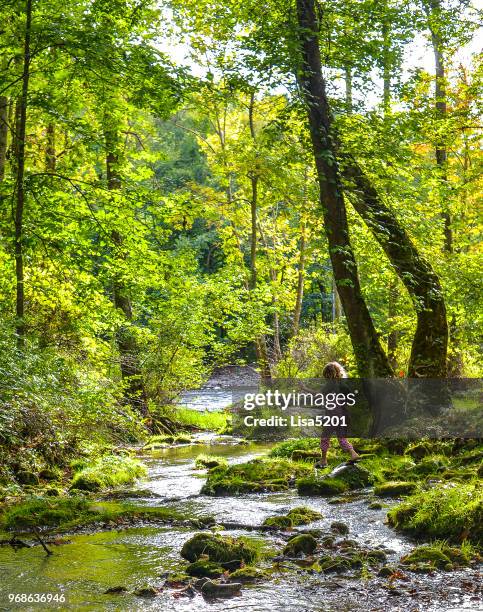 fluss-walker - step walker stock-fotos und bilder