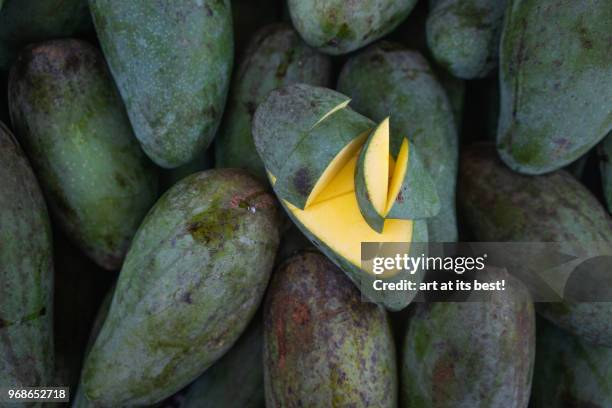 green riped mangos - alor setar - fotografias e filmes do acervo