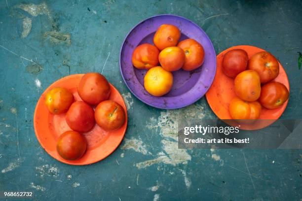 fresh tomatoes on plates - alor setar - fotografias e filmes do acervo