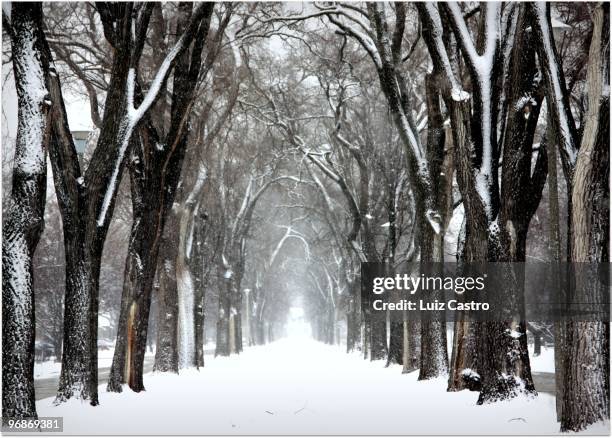 three sided snow pathway - kenosha wisconsin stock pictures, royalty-free photos & images
