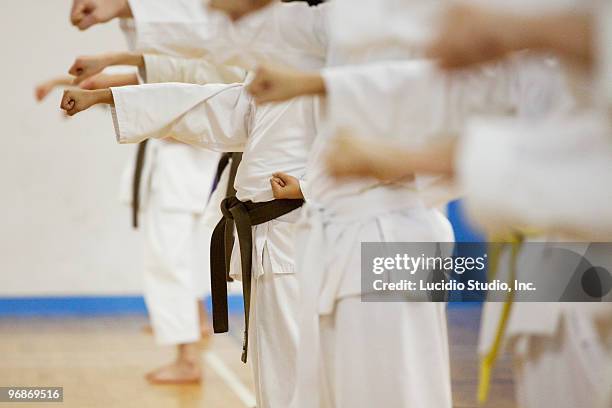 karate practice - karate imagens e fotografias de stock